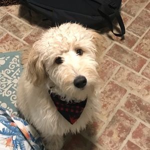 Meet your Posher, Grayden